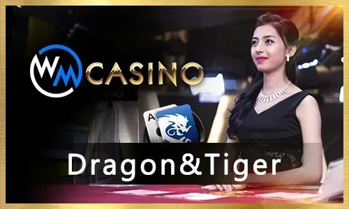 Jili77.cim Live Casino